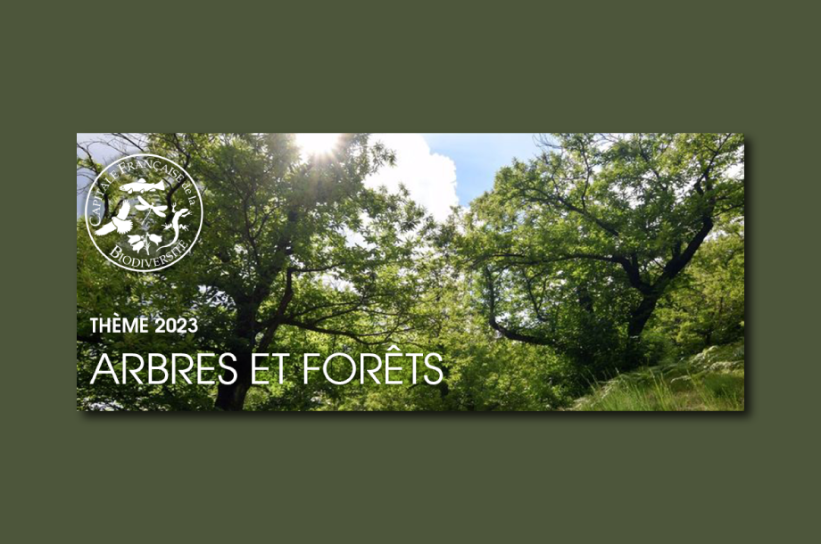 La métropole de Rouen est la nouvelle « Capitale française de la biodiversité » sur le thème « Arbres et forêts »