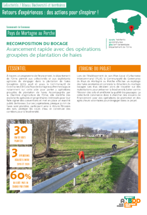 [Retours d’expériences] Recomposition du bocage : avancement rapide avec des opérations groupées de plantation de haies