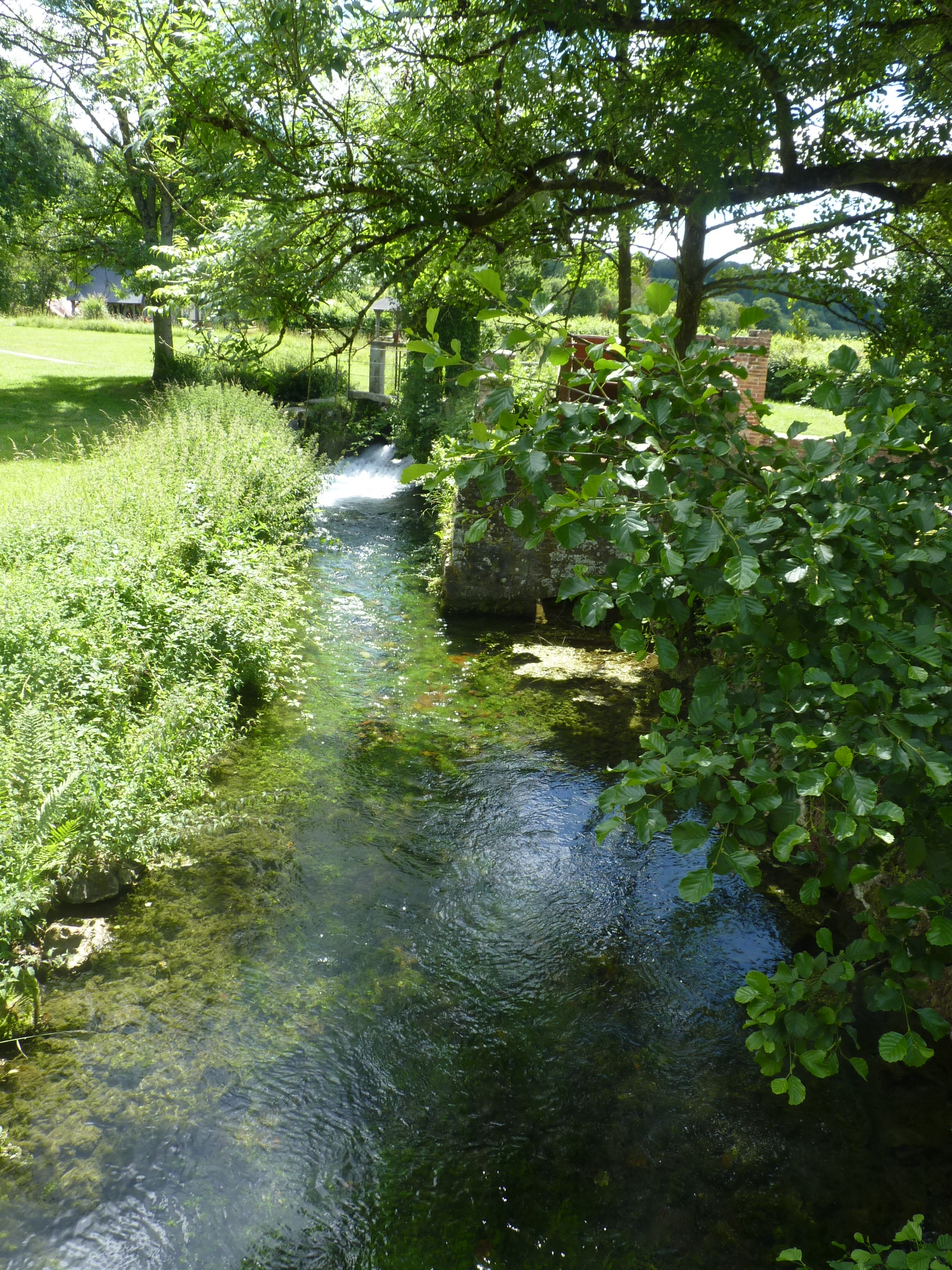 Et si on rendait leur place aux petits cours d’eau urbains et péri-urbains ?