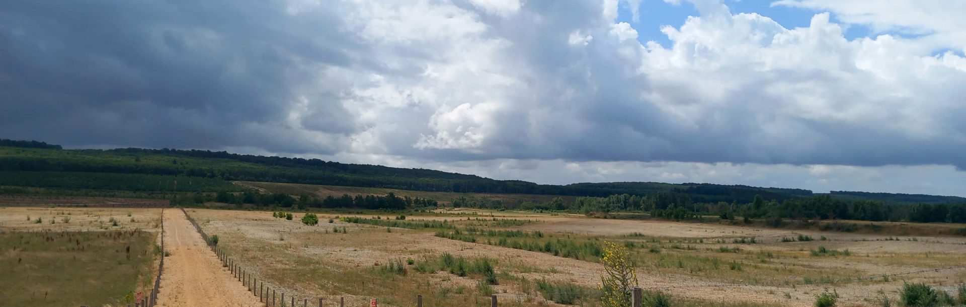 Parcours 3 – Faire des carrières exploitées d’hier des espaces de biodiversité d’aujourd’hui : l’action volontaire de SPS