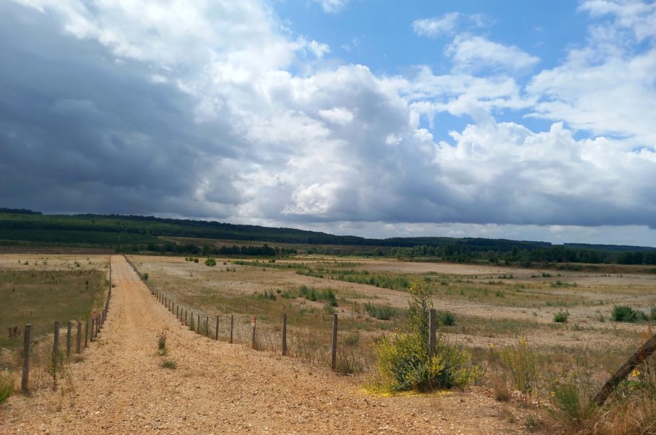 Parcours 3 – Faire des carrières exploitées d’hier des espaces de biodiversité d’aujourd’hui : l’action volontaire de SPS