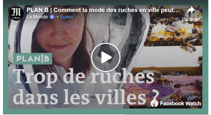 Comment la mode des ruches en ville peut se retourner contre les abeilles