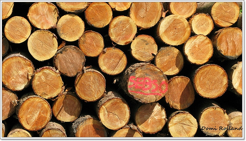 Comment améliorer l’impact environnemental du bois énergie ?