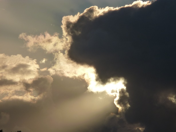 Termes-catastrophes, noms sous pression, et néologie revitalisante: la transition écologique par le langage ?