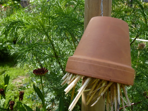 Qui a besoin de jardins partagés ?
