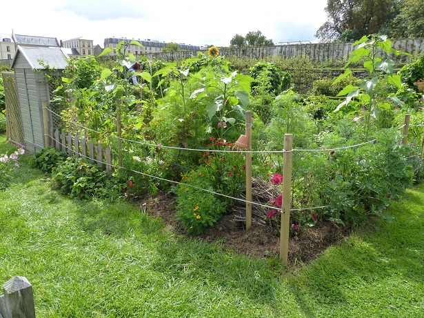 Utilisation des pesticides : les règles à respecter par les particuliers