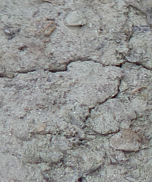 L’éloge de la pluie et de la boue