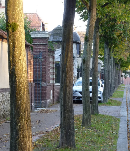 De quoi se compose exactement la « forêt urbaine » ?