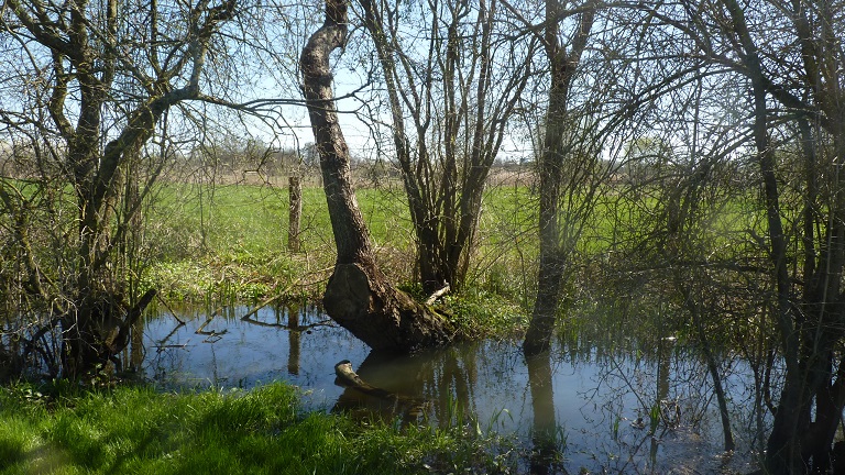 Eau potable en Normandie : la pression du réchauffement climatique