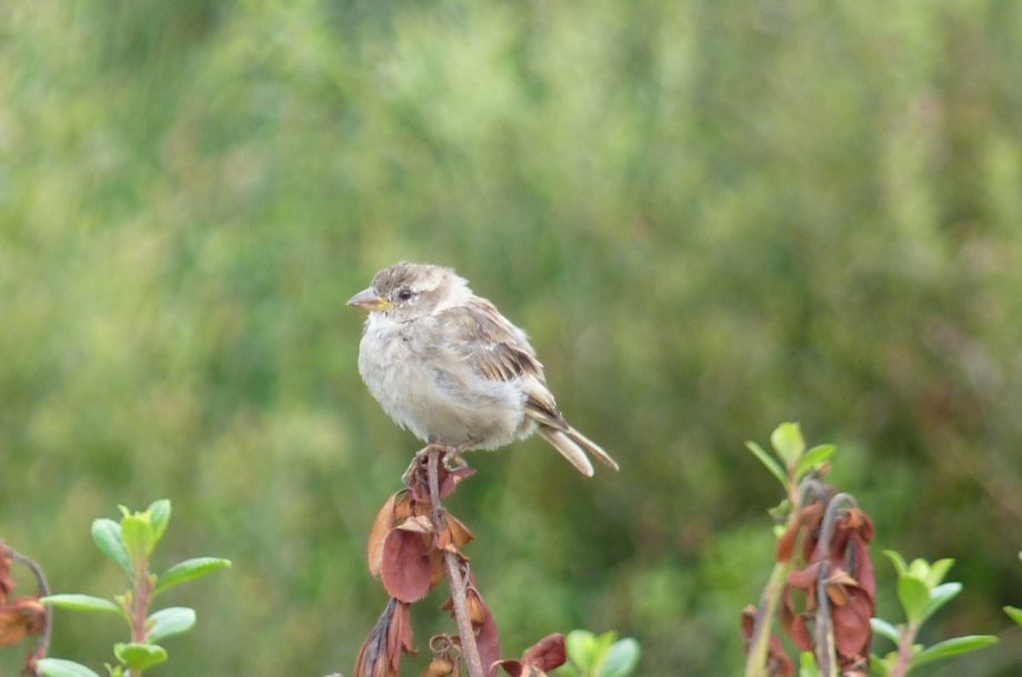 [Rencontres] 14es Assises nationales de la biodiversité 2024 et Assises Nationales des Espaces Naturels Sensibles