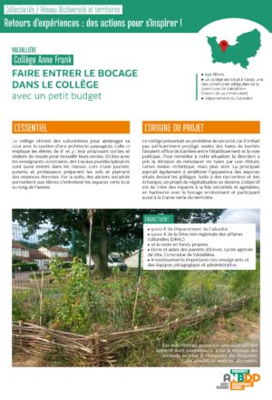 [Retours d’expériences] Faire entrer le bocage dans le collège avec un petit budget