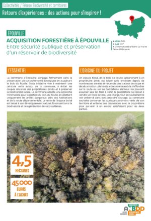 [Retours d’expériences] Acquisition forestière à Épouville : Entre sécurité publique et préservation d’un réservoir de biodiversité