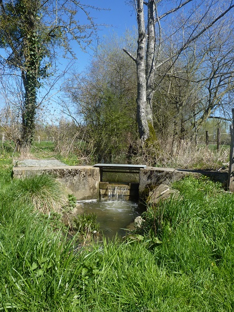 Le Vrai / Faux de la continuité écologique des cours d’eau