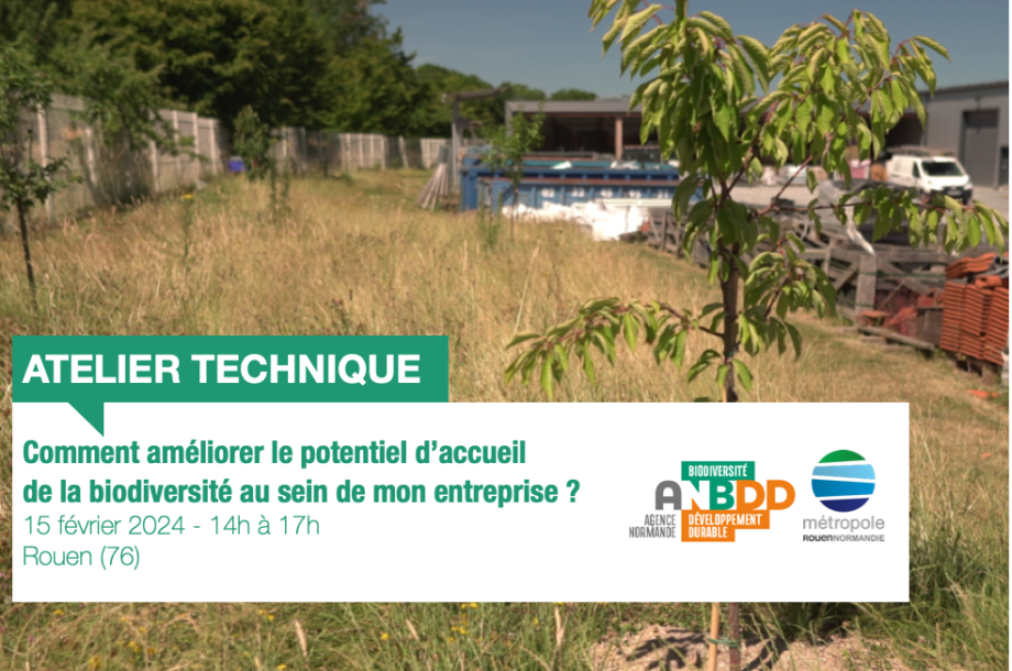 [Formation] Comment améliorer le potentiel d’accueil de la biodiversité au sein de mon entreprise ?