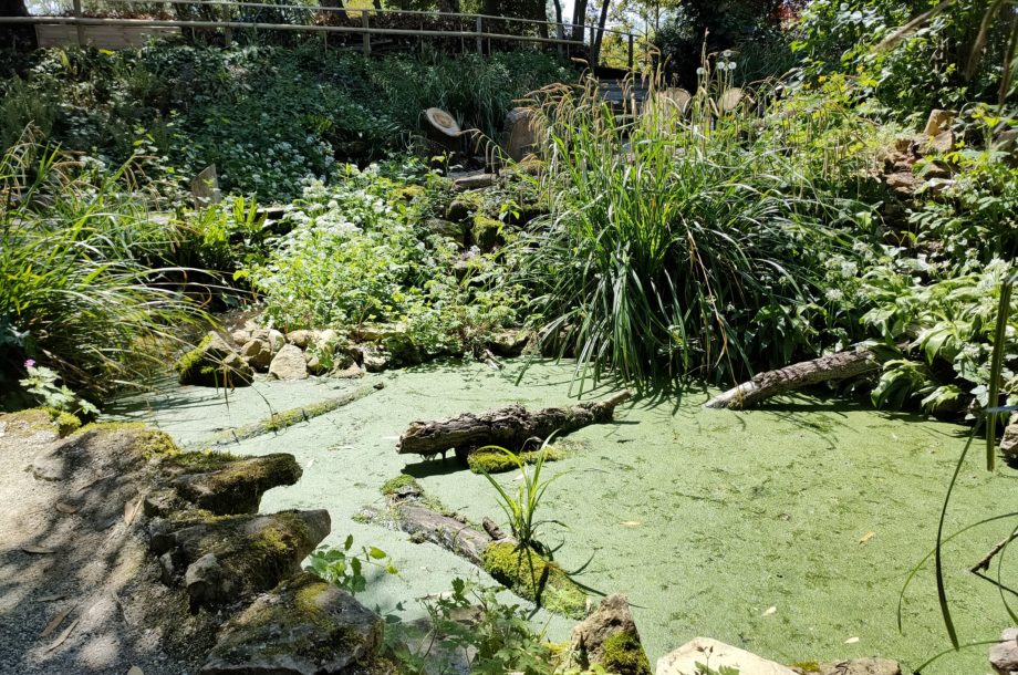 [Rencontre] Rencontre EcoJardin 2024