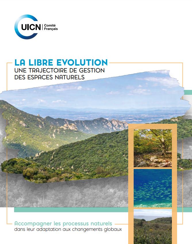 La libre évolution, une trajectoire de gestion des espaces naturels – Accompagner les processus naturels dans leur adaptation aux changements globaux