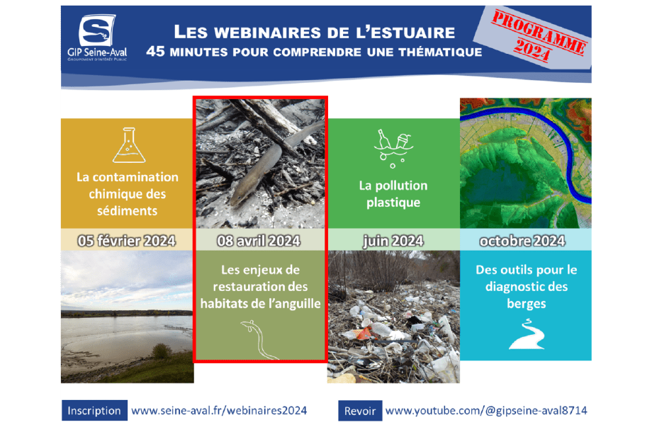 [Webinaire] Les enjeux de restauration des habitats de l’anguille – Les webinaires de l’estuaire #2