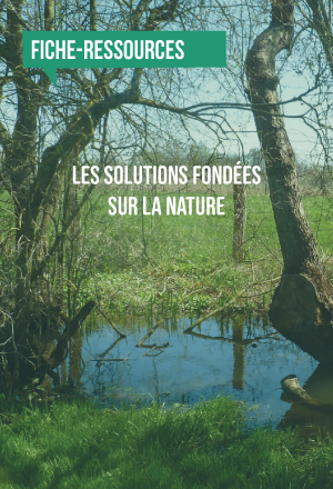 [Fiche-ressources] Les solutions fondées sur la nature