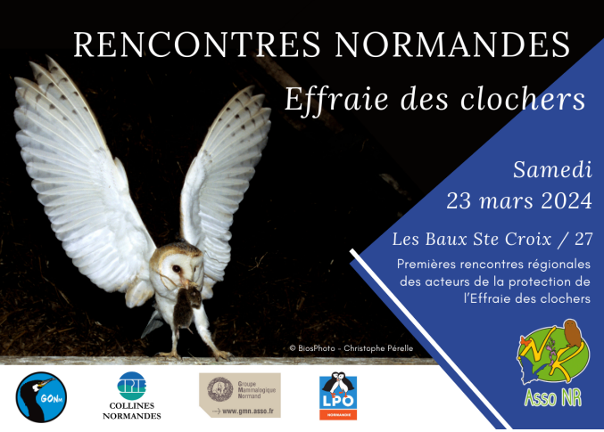 Premières rencontres normandes Effraies des clochers