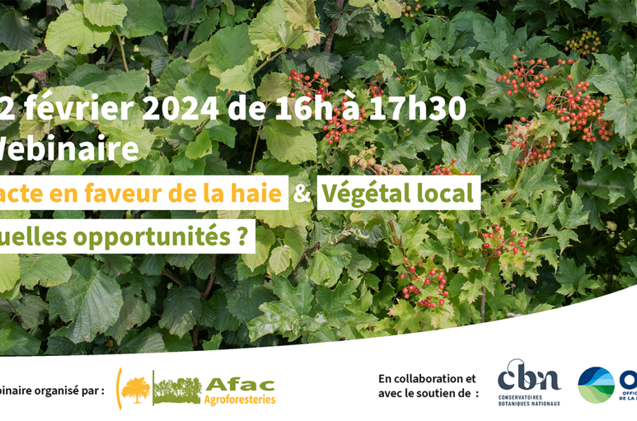 [Webinaire] Pacte en faveur de la haie et Végétal local : quelles opportunités ?