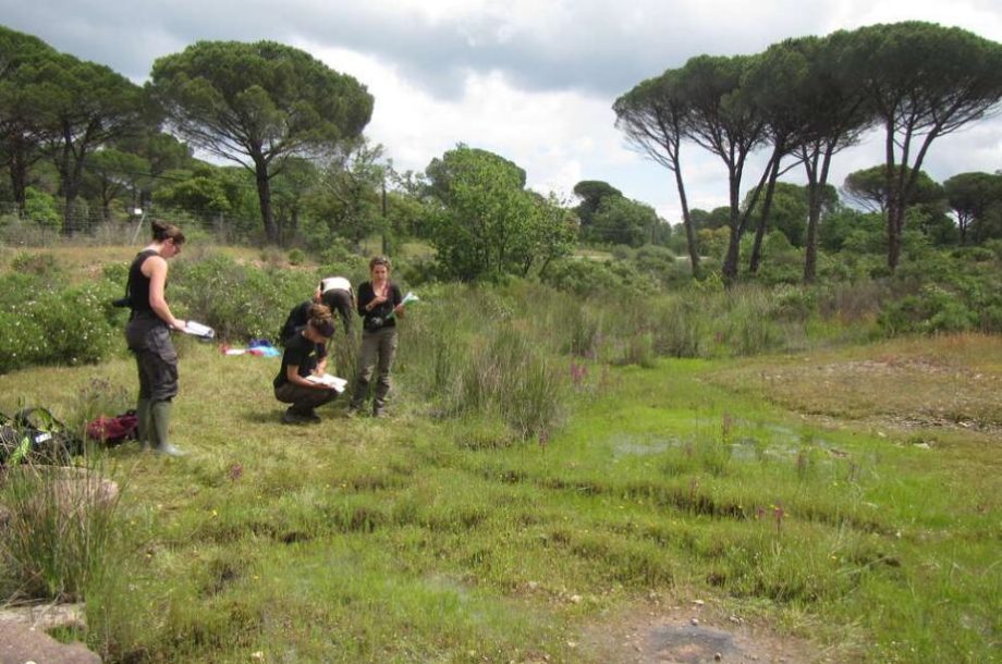 [Appel à manifestation d’intérêt] Développement et amélioration de la surveillance de la biodiversité terrestre en France (Hexagone, Corse et Outre-mer)