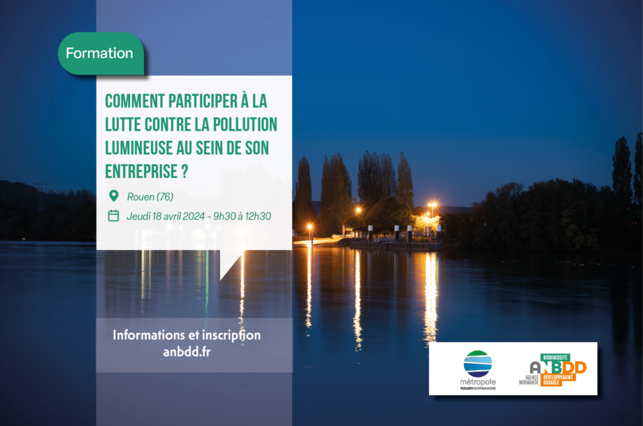 [Formation] Comment participer à la lutte contre la pollution lumineuse au sein de son entreprise ?