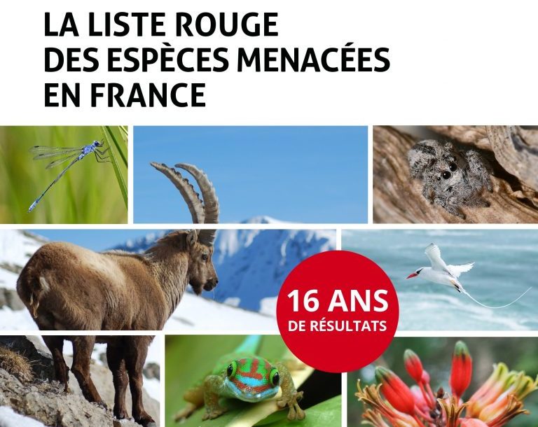 Liste rouge des espèces menacées en France : 16 ans de résultats