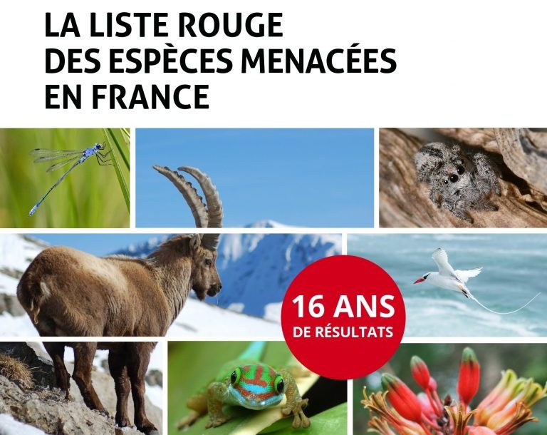 Liste Rouge Des Esp ces Menac es En France 16 Ans De R sultats L Liste Rouge Des Esp ces Menac es En France 16 Ans De R sultats L