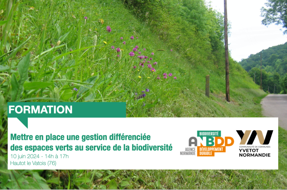 [Formation] Mettre en place une gestion différenciée des espaces verts au service de la biodiversité