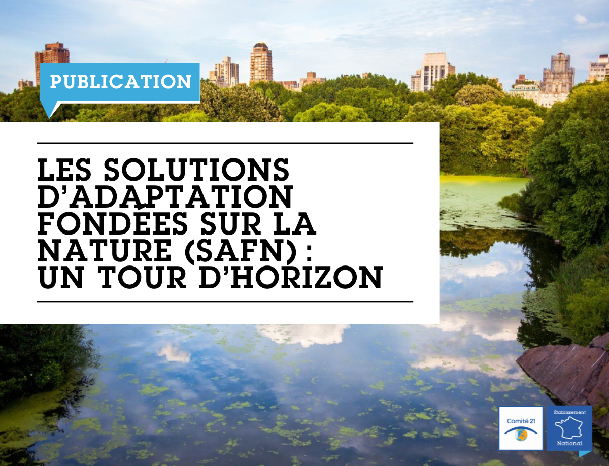 Les Solutions d’adaptation fondées sur la Nature (SafN) : un tour d’horizon