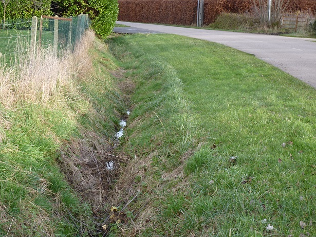 Au fait, c’est quoi les solutions fondées sur la nature ?