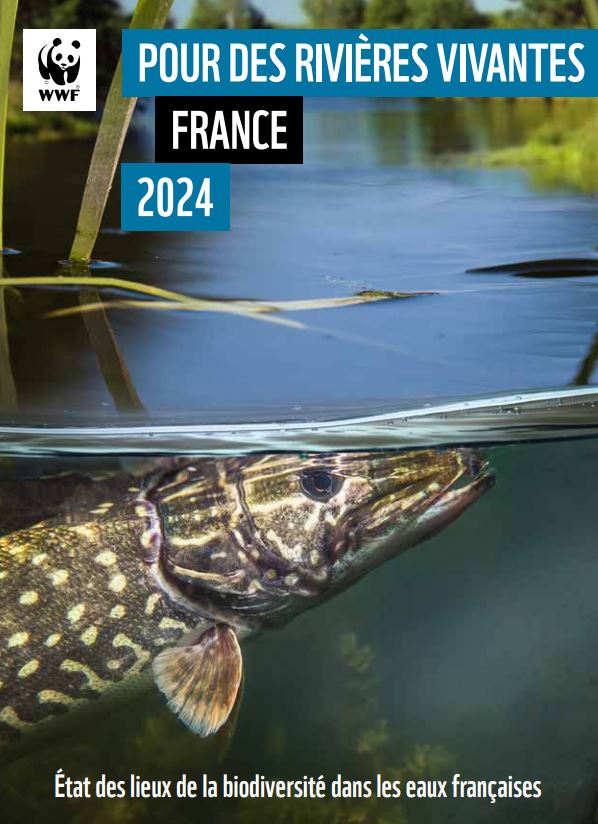 Pour des rivières vivantes France 2024. Etat des lieux de la biodiversité dans les eaux françaises