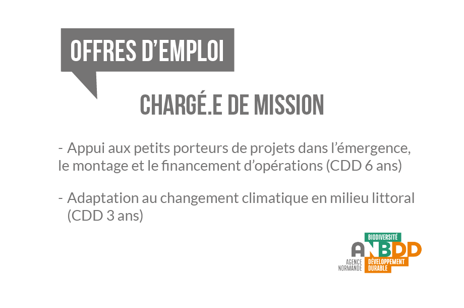 [Offre d’emploi] Deux offres à pourvoir en tant que chargé.e de mission à l’ANBDD