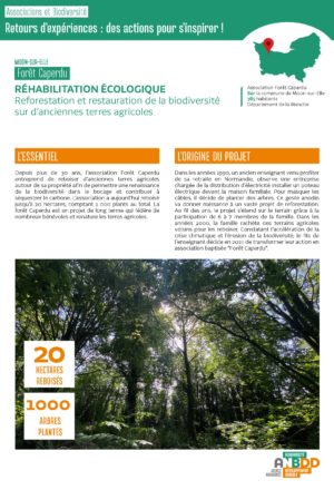 [Retours d’expériences] Réhabilitation écologique : reforestation et restauration de la biodiversité sur d’anciennes terres agricoles