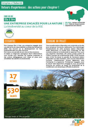 [Retours d’expériences] Une entreprise engagée pour la nature : la biodiversité au cœur de la RSE