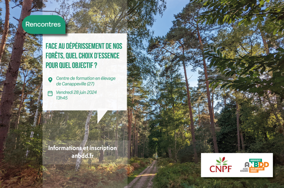 [Rencontres] Face au dépérissement de nos forêts, quel choix d’essence pour quel objectif ?