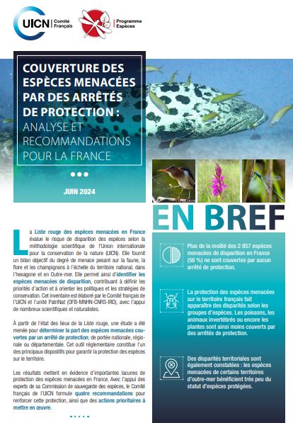Plus de la moitié des espèces menacées de disparition en France ne bénéficient pas d’un statut de protection