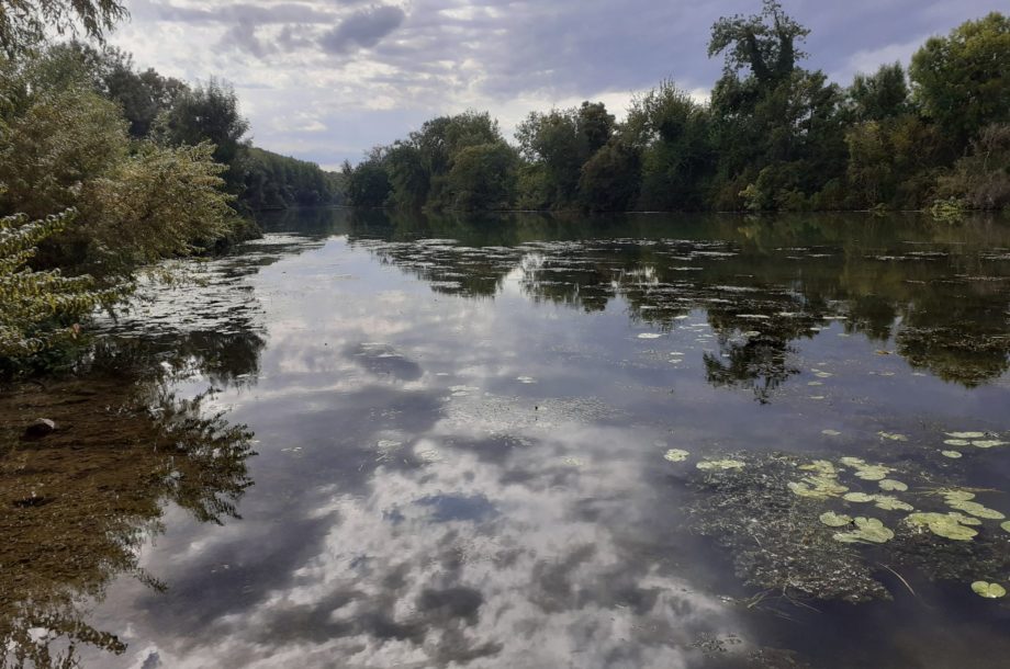 [Rencontre technique] Un socle commun pour le suivi des zones humides en vallée de Seine Normande ?