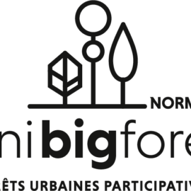 Minibigforest Normandie