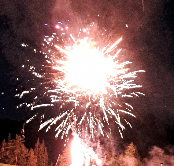 Comment les feux d’artifice bousculent la vie sauvage ? Impacts et solutions