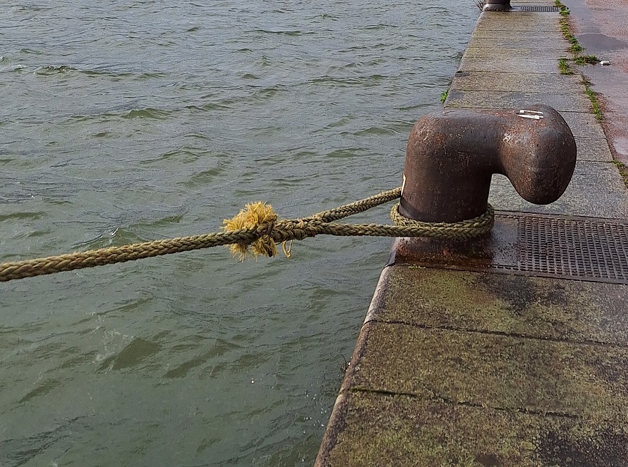 Diminuer les émissions de carbone de l’UE en augmentant la navigation en eau douce : quelles conséquences pour la biodiversité ?
