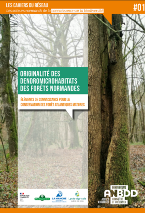 Originalité des dendromicrohabitats des forêts normandes