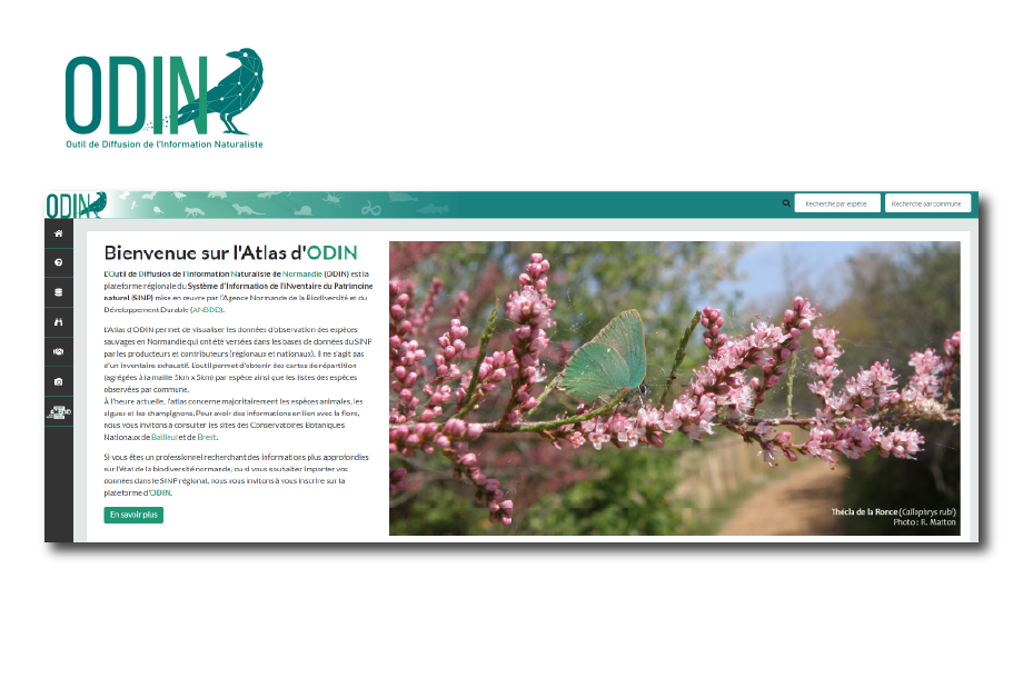 [SINP] Lancement de la nouvelle version d’ODIN sous GeoNature