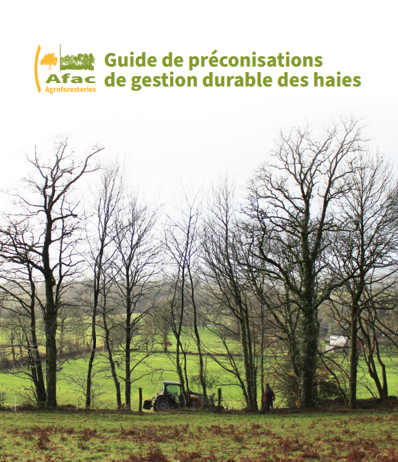 Guide de préconisations de gestion durable des haies