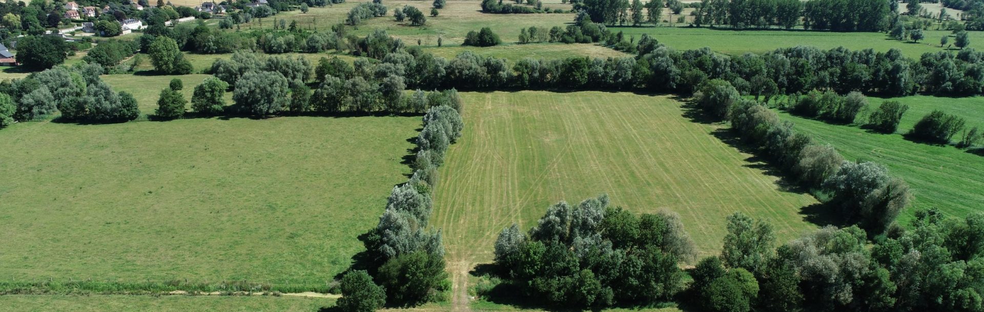 Dispositifs de financement de la haie en Normandie – Entreprises
