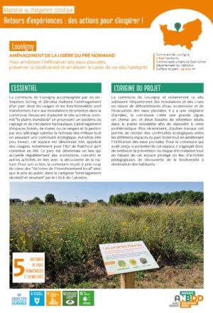 [Retours d’expériences] Aménagement de la Lisière du Pré Normand pour optimiser l’infiltration des eaux pluviales, préserver la biodiversité et améliorer le cadre de vie des habitants