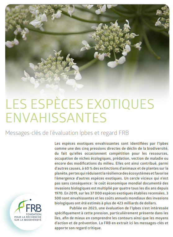 Les espèces exotiques envahissantes. Messages-clés de l’évaluation Ipbes et regard RFB