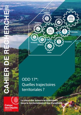 ODD 17 : quelles trajectoires territoriales ? La place des acteurs académiques dans la territorialisation des transitions