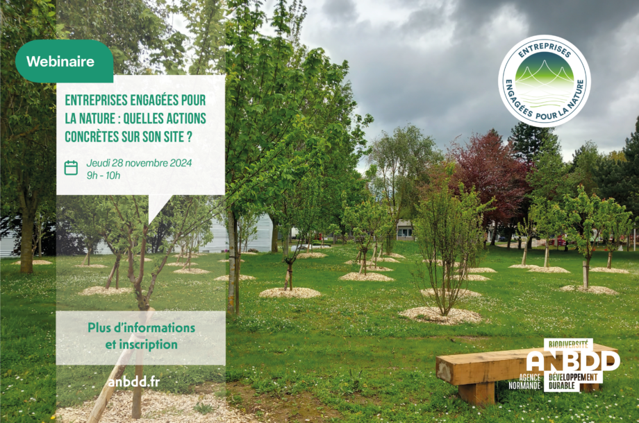 [Webinaire] Entreprises engagées pour la nature : quelles actions concrètes sur son site ?