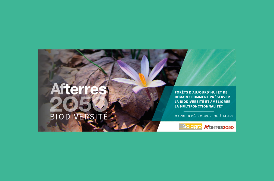 [Webinaire] Afterres 2050 Biodiversité : comment préserver et améliorer la multifonctionnalité et la biodiversité de nos forêts d’aujourd’hui et de demain ?
